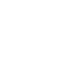 Alpine F1 Team